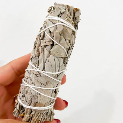 Shop our White sage (Salvia apiana), also known as sacred sage, is an evergreen perennial native to the Southwestern United States. Burning white sage is cleansing and purifying for any negative energy, lower vibrational energy or even spirits within your space.