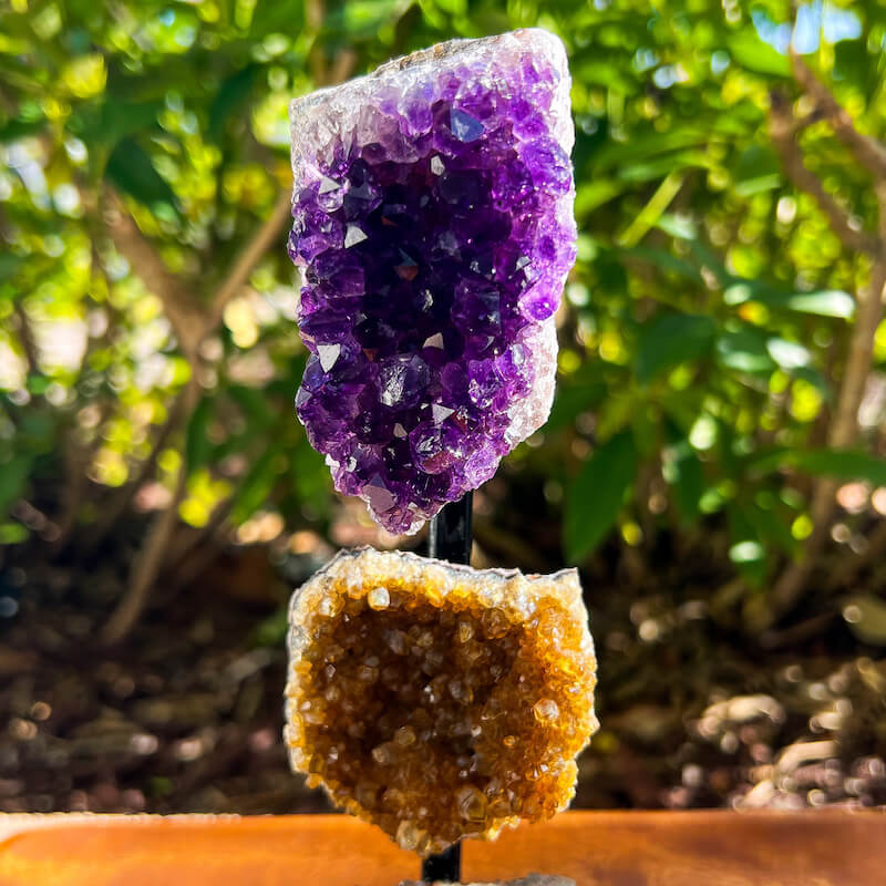 Amethyst, Citrine & Clear Quartz Crystal Set for Abundance, Clarity & Spiritual Growth