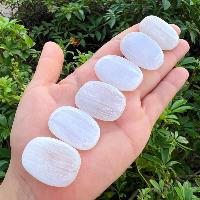 Five smooth, polished white stones arranged in a person's open palm, with a background of green outdoor foliage.