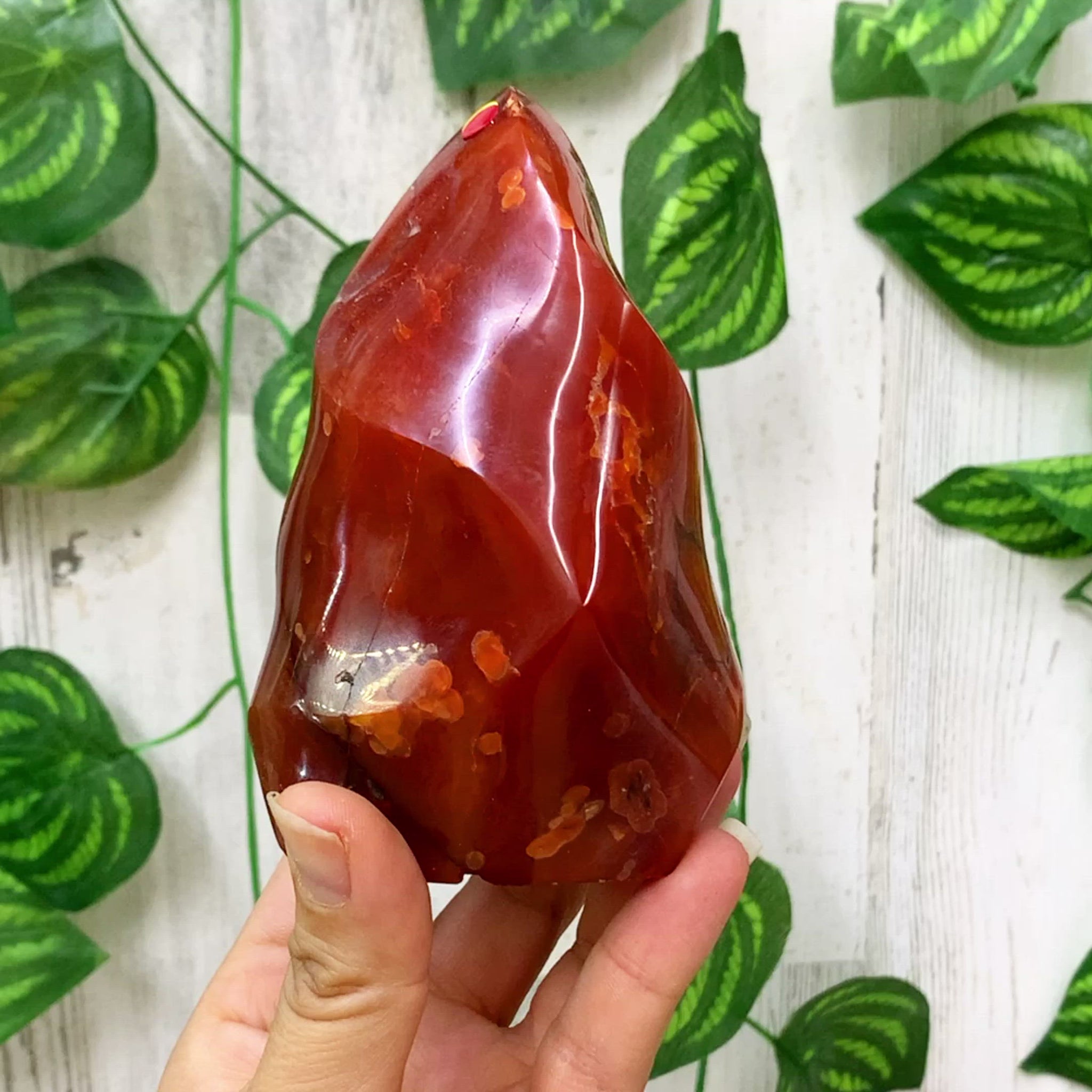 Looking for genuine and stunning Carnelian Crystal Flame? Shop at Magic Crystals for polished cut base carnelian. We only carry 'AAA' Quality Carnelian from India and Madagascar. Red Crystal - D - Tower for reiki Healing. Free Standing Crystal, Beautiful Display Crystal with FREE SHIPPING AVAILABLE.