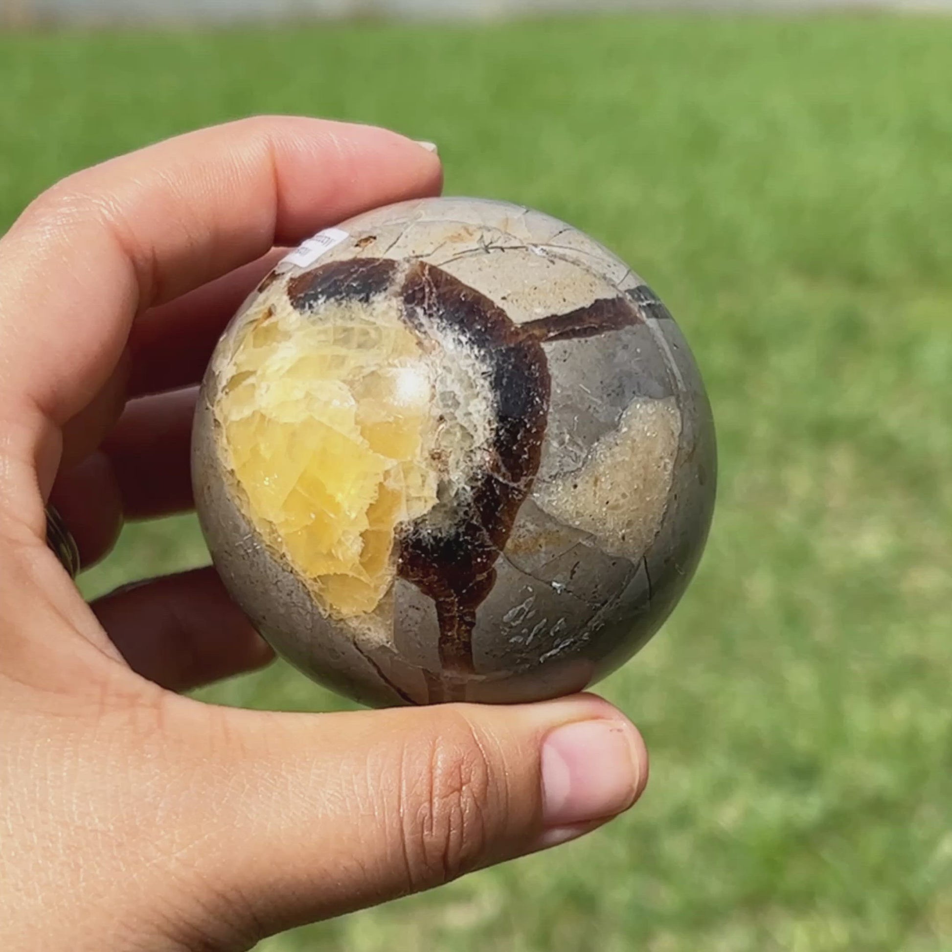 Shop for Madagascar Septarian Dragon Stone Sphere, Septarian Nodule Stone at Magic Crystals. UV Reactive Septarian Stone, Dragon Stone For the Root Chakra, Grounding Minerals. Septarian stone has a calming, nurturing energy, and can bring feelings of joy and spiritually uplifting. FREE SHIPPING AVAILABLE