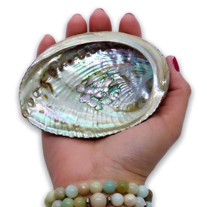 Looking for, where can I buy quality abalone shell? Shop at Magic Crystals for Abalone Shell - Perfect For Smudge Sticks - Alter Tool - High Quality - One Side Polished - Native American - Smudge Tool at Magic Crystals.