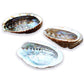 Looking for, where can I buy quality abalone shell? Shop at Magic Crystals for Abalone Shell - Perfect For Smudge Sticks - Alter Tool - High Quality - One Side Polished - Native American - Smudge Tool at Magic Crystals.
