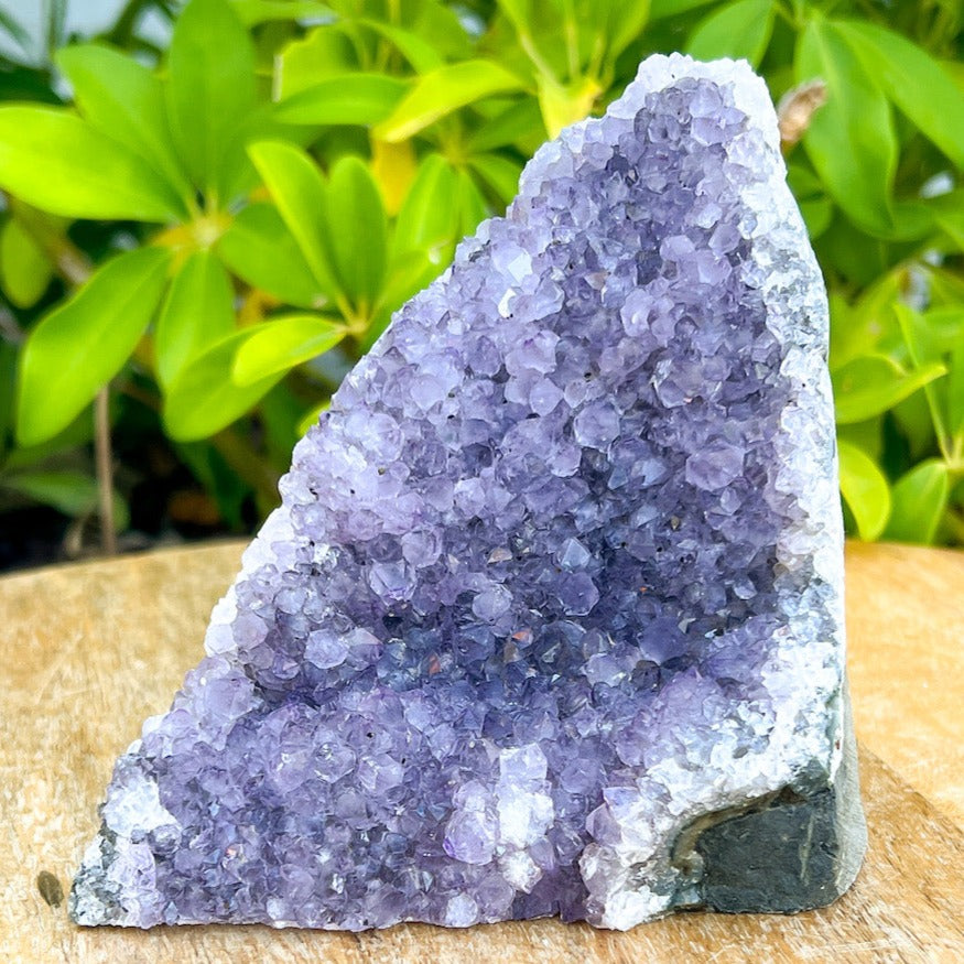 Shop at Magic Crystals for Medium Amethyst Polished Geode - Cathedral Amethyst. VERY High Quality. World’s Highest Quality Amethyst Geode, Crystals and Stones, Healing stones. Top Rated Mineral Dealer. Authenticity Certificates. Deep & Rich Hues. Amethyst from Brazil and Uruguay available. Amethyst-Cut-Base-Cluster-4.