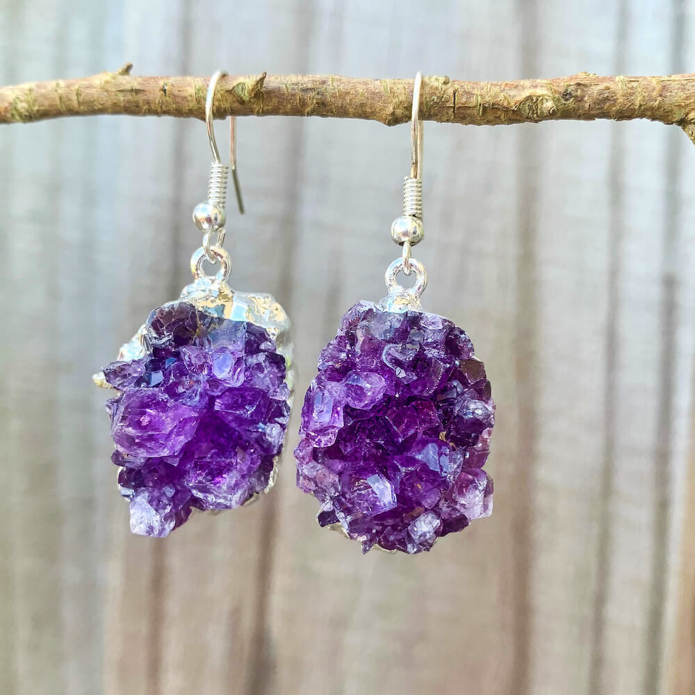 Shop for beautiful Natural Raw Amethyst Dangling Druzy Earrings, Silver Dipped Amethyst crystal at Magic Crystals. Magiccrystals.com offers excellent choice for women. available with FREE SHIPPING and in gold. Find a Gold Amethyst Earring or Silver Amethyst Earring when you shop at Magic Crystals. February birthstone.