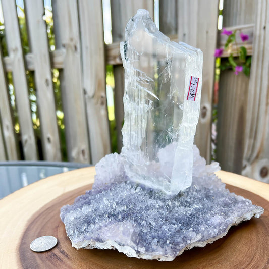 Buy Amethyst Quartz Flower with Selenite at Magic Crystals. Selenite Gypsum for Home decor and decoration. Sculpture, Balance, Healing, Third Eye Chakra, Spirituality, Pisces. Natural Amethyst Gemstone for PROTECTION, PEACE, INSPIRATION. Magiccrystals.com offers FREE SHIPPING and the best quality gemstones. 