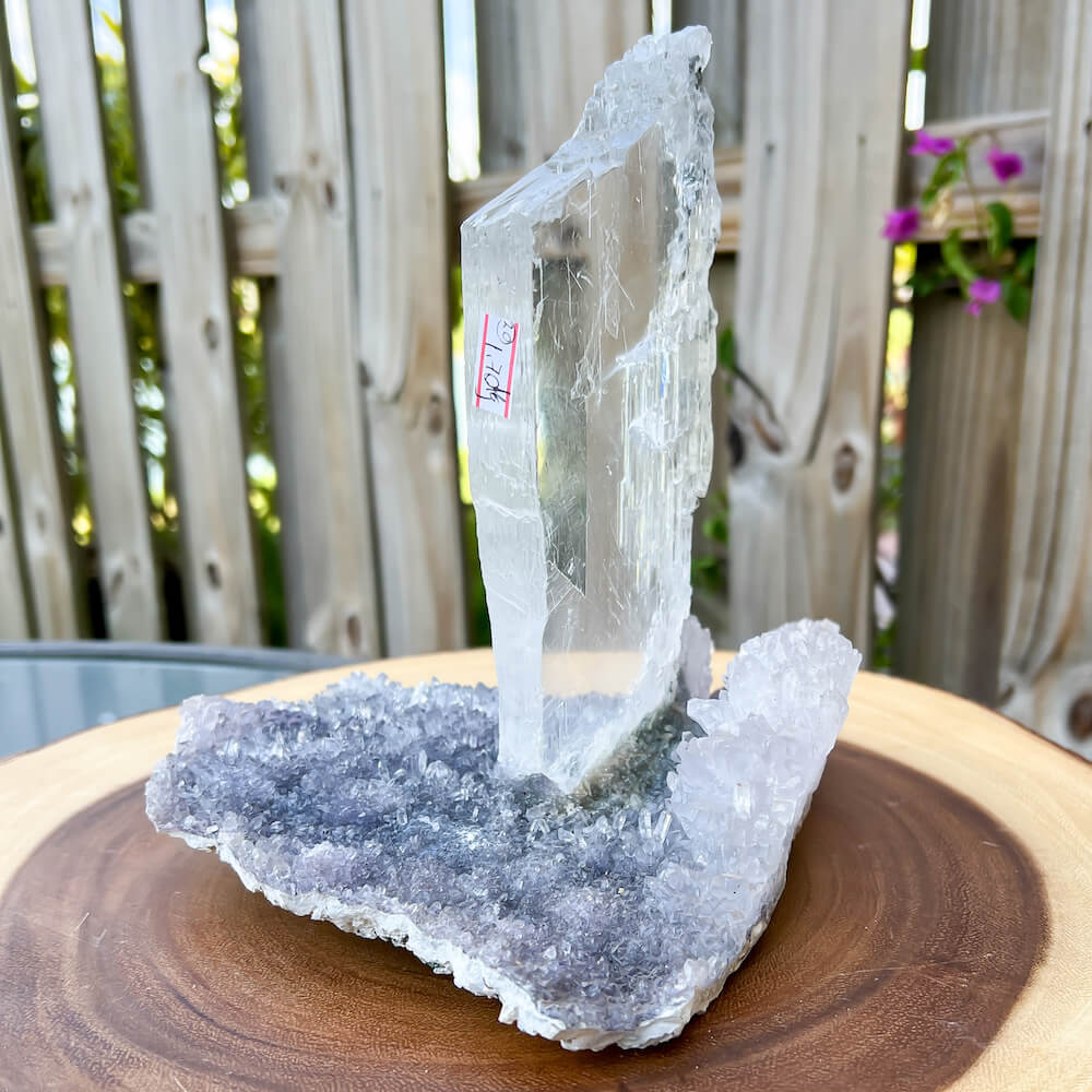 Buy Amethyst Quartz Flower with Selenite at Magic Crystals. Selenite Gypsum for Home decor and decoration. Sculpture, Balance, Healing, Third Eye Chakra, Spirituality, Pisces. Natural Amethyst Gemstone for PROTECTION, PEACE, INSPIRATION. Magiccrystals.com offers FREE SHIPPING and the best quality gemstones. 