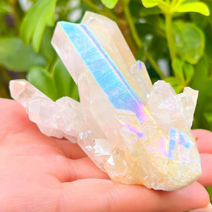 Looking for an Angel Aura Quartz Crystal Cluster Healing Crystal? We have a wide variety of single points, Rainbow Quartz, Aura Crystal Cluster, Rainbow Titanium Crystal at Magic Crystals. Magiccrystals.com Aura Quartz will help you enjoy a deeper spiritual experience by connecting you to your spiritual guides.