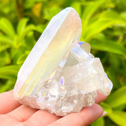 Looking for an Angel Aura Quartz Crystal Cluster Healing Crystal? We have a wide variety of single points, Rainbow Quartz, Aura Crystal Cluster, Rainbow Titanium Crystal at Magic Crystals. Magiccrystals.com Aura Quartz will help you enjoy a deeper spiritual experience by connecting you to your spiritual guides.