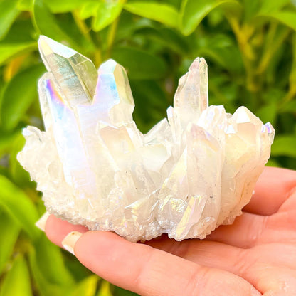 Looking for an Angel Aura Quartz Crystal Cluster Healing Crystal? We have a wide variety of single points, Rainbow Quartz, Aura Crystal Cluster, Rainbow Titanium Crystal at Magic Crystals. Magiccrystals.com Aura Quartz will help you enjoy a deeper spiritual experience by connecting you to your spiritual guides.