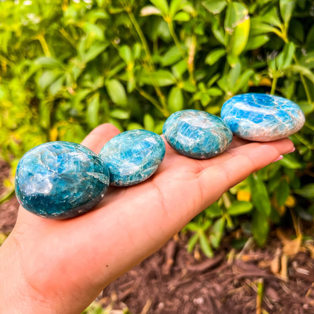 Looking for Crystal Palm Puffy Stone? Shop for Worry Stone, Crystals and palm Stones, Pocket Stone, Natural, Polished at Magic crystals. FREE SHIPPING available. They can also be easily transported or even carried with you as you go about your day. Apatite-Crystal-Palm-Stone