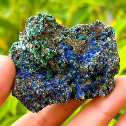 Azurita en bruto sobre trozos de malaquita