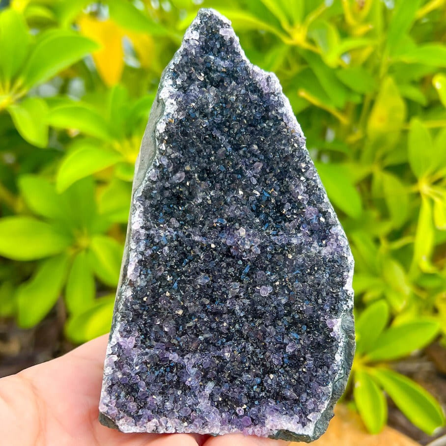 Cut base Brazilian Black Amethyst Church Cathedral Sparkly Druze Raw Crystal Cluster at Magic Crystals. This gemstone is a February Birthstone perfect for Third Eye Chakra and Crown. This gemstone helps for Spirituality and Wisdom. Natural Amethyst offers FREE SHIPPING and the best quality gemstones. Black-Amethyst-Cut-Base-_15