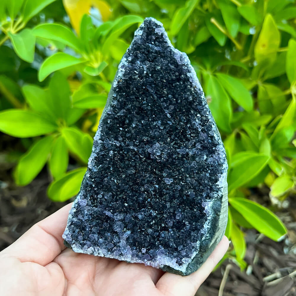 Cut base Brazilian Black Amethyst Church Cathedral Sparkly Druze Raw Crystal Cluster at Magic Crystals. This gemstone is a February Birthstone perfect for Third Eye Chakra and Crown. This gemstone helps for Spirituality and Wisdom. Natural Amethyst offers FREE SHIPPING and the best quality gemstones. Black-Amethyst-Cut-Base-_15