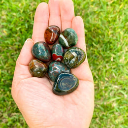 Tumbled Bloodstone Stone - Piedra Sanguinaria - MAGIC CRYSTALS – Magic ...
