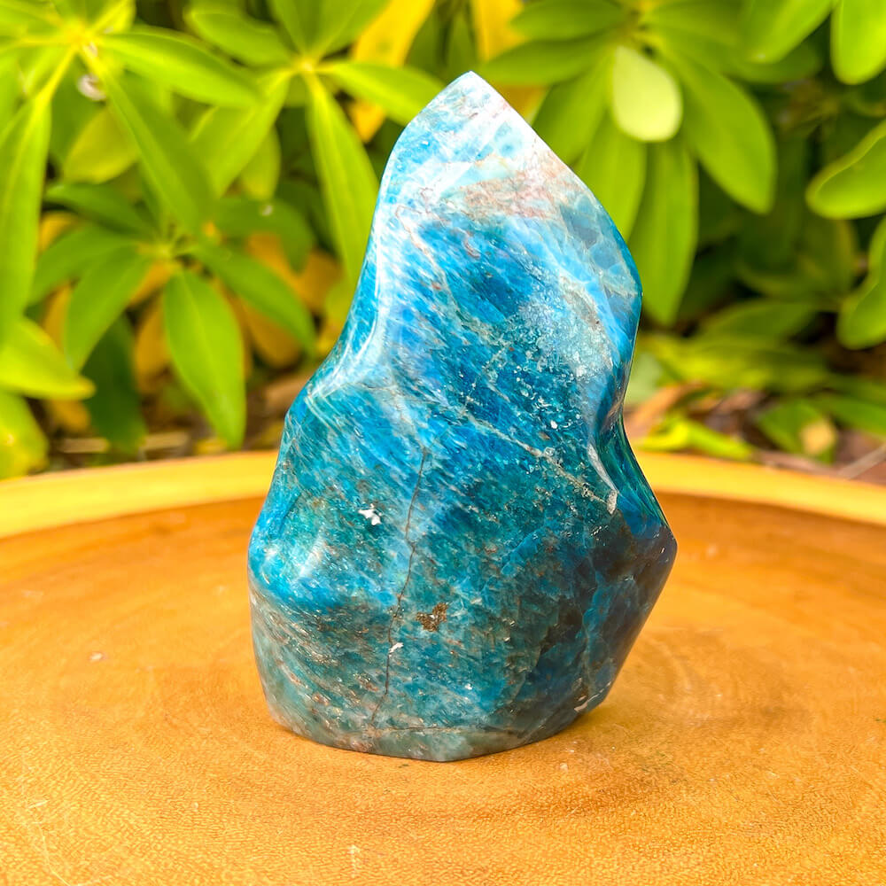 Looking for a Blue Apatite Flame - Carved Apatite Free Form? Shop for Natural Blue Apatite flame at Magic Crystals. We carry the very best in unique, handmade Blue Apatite flame.Quartz Crystal Ball, Home Decoration, energy crystal. Apatite assists with MOTIVATION and MANIFESTATION. Gemini stone. 