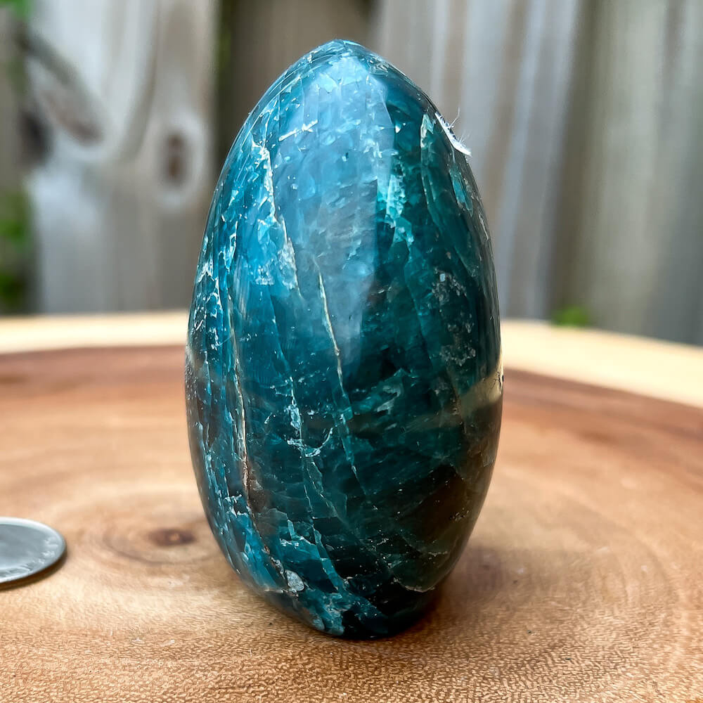 Check out Magic Crystals for the very best in unique Blue Apatite Free Form with Cut Base - B  - Blue Apatite Free Form Stone - Apatite Specimen, polished Display Specimens, blue crystals, blue apatite crystal, Apatite Specimenmotivational stone with FREE SHIPPING available. Blue Apatite for MOTIVATION • MANIFESTATION.