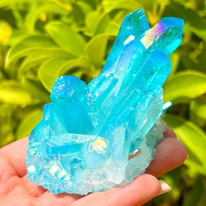 Looking for Blue Aqua Aura Quartz Cluster? Shop at Magiccrystals.com for Aqua Aura Quartz Crystal Cluster, Blue Aura Clear Quartz, Crystal for Empowerment and Expression and Healing Crystal. Free shipping available. Blue-Aura-Quartz-Crystal-Cluster-E