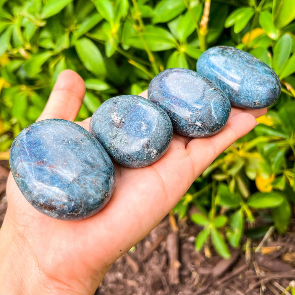 crystal palm plant Healing Crystal Palm Stone for Calm, Balance & Energy