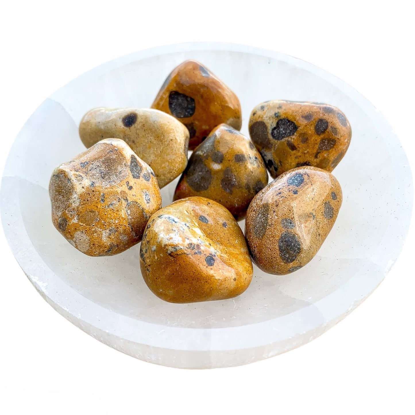Looking for Leopard Skin Jasper Stone and Healing Crystals? Find Leopard Skin Jasper Polished Stone in Magic Crystals. Also known as Beown Rhyolite Natural Leopard Skin Jasper assists in self-healing and spiritual discovery to further personal growth. It is a powerful gemstone for stability, protection and grounding.