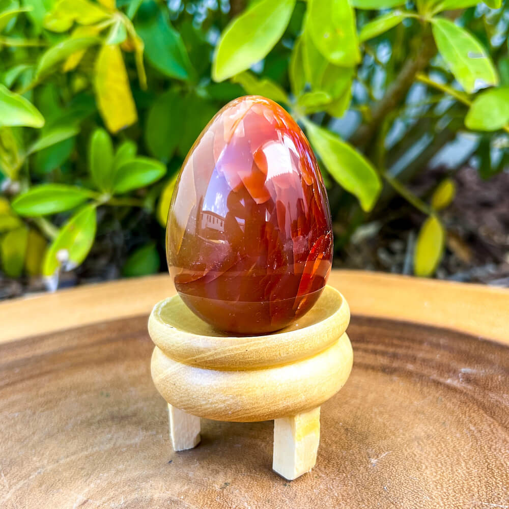 Looking for a genuine and stunning Carnelian Crystal Egg? Shop at Magic Crystals for polished cut base carnelian. Carnelian Crystal Egg - B. We only carry 'AAA' Quality Carnelian from India and Madagascar. Red Agate Crystal for reiki Healing. Free Standing Crystal. Carnelian-Egg-A