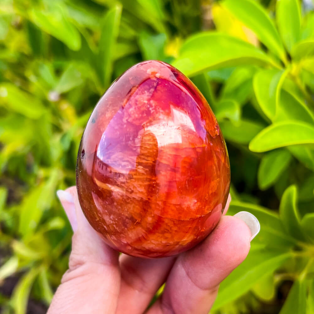 Looking for a genuine and stunning Carnelian Crystal Egg? Shop at Magic Crystals for polished cut base carnelian. Carnelian Crystal Egg - B. We only carry 'AAA' Quality Carnelian from India and Madagascar. Red Agate Crystal for reiki Healing. Free Standing Crystal. Carnelian-Egg-D