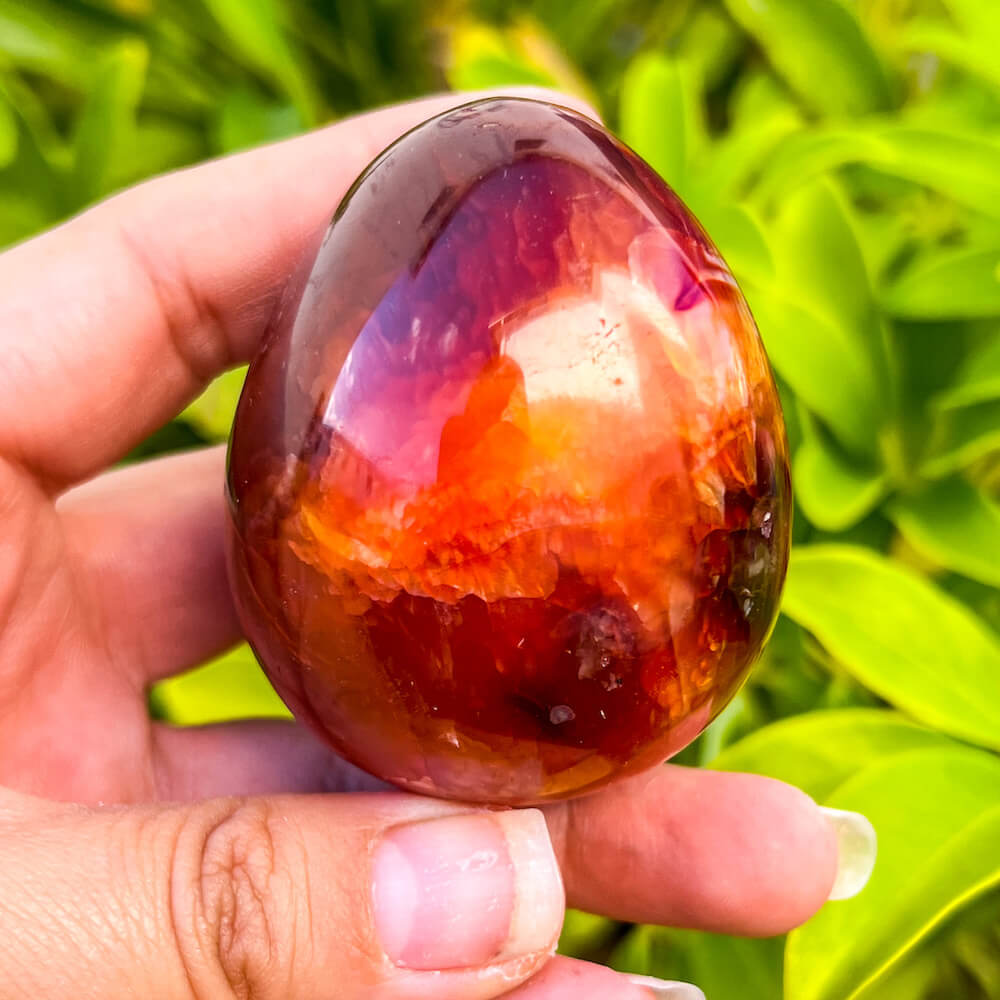 Looking for a genuine and stunning Carnelian Crystal Egg? Shop at Magic Crystals for polished cut base carnelian. Carnelian Crystal Egg - B. We only carry 'AAA' Quality Carnelian from India and Madagascar. Red Agate Crystal for reiki Healing. Free Standing Crystal. Carnelian-Egg-E