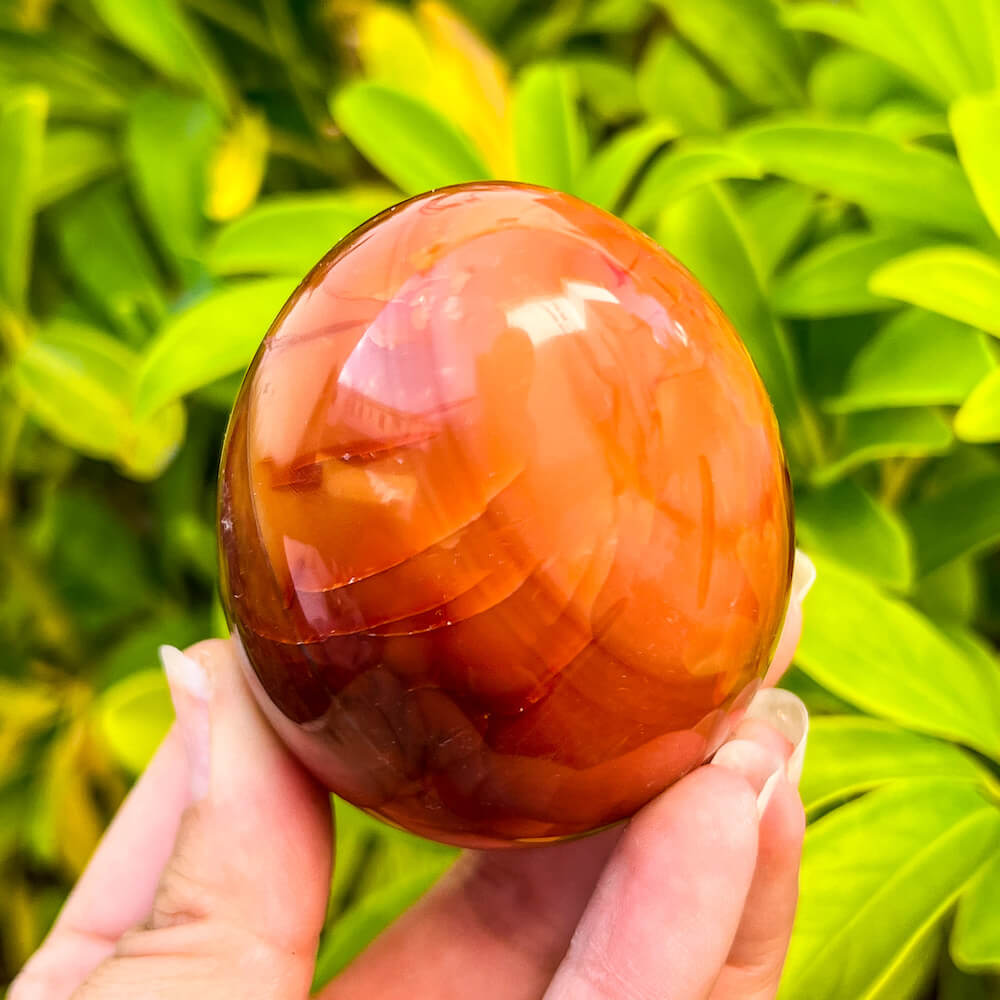 Looking for a genuine and stunning Carnelian Crystal Egg? Shop at Magic Crystals for polished cut base carnelian. Carnelian Crystal Egg - B. We only carry 'AAA' Quality Carnelian from India and Madagascar. Red Agate Crystal for reiki Healing. Free Standing Crystal. Carnelian-Egg-F