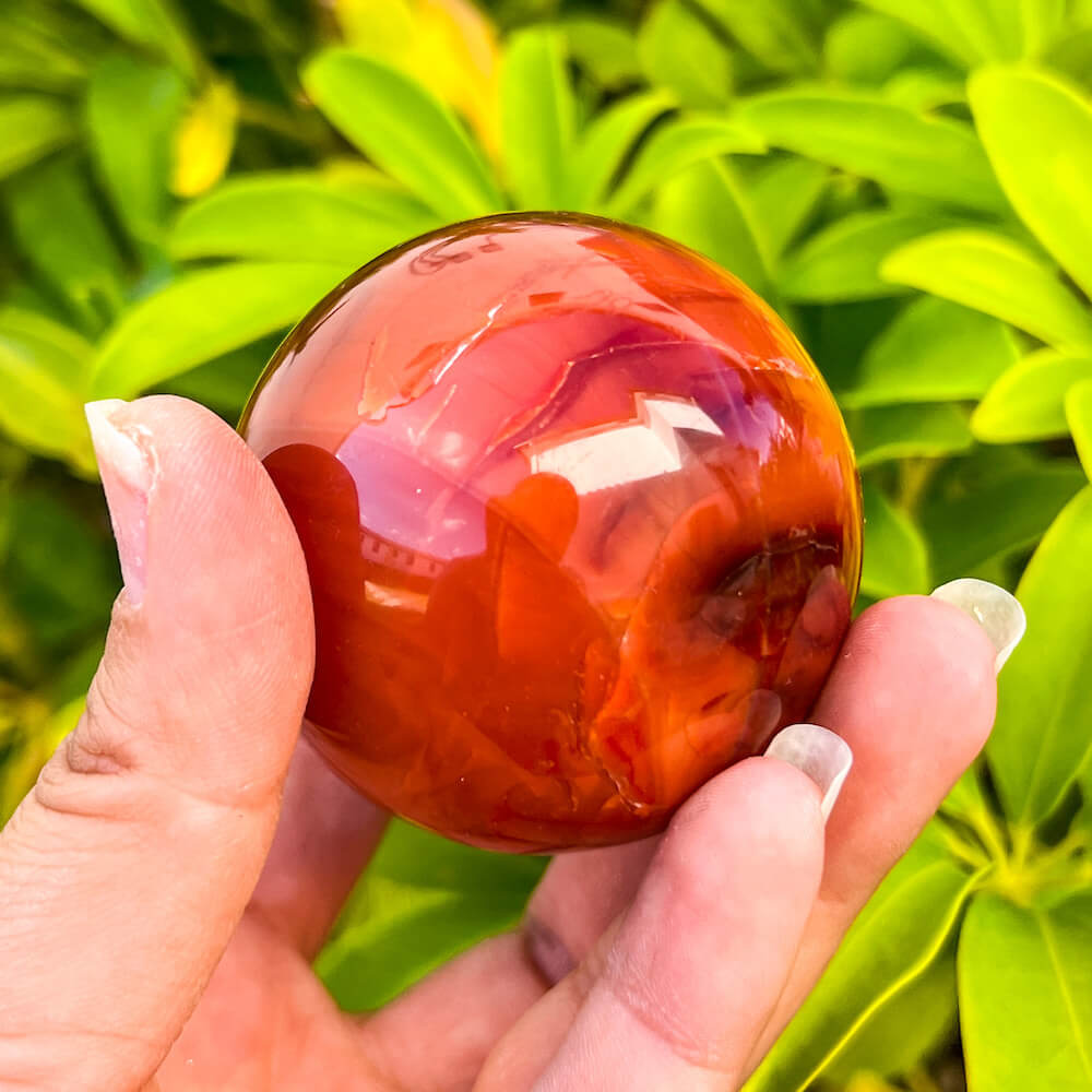 Looking for a genuine and stunning Carnelian Crystal Egg? Shop at Magic Crystals for polished cut base carnelian. Carnelian Crystal Egg - B. We only carry 'AAA' Quality Carnelian from India and Madagascar. Red Agate Crystal for reiki Healing. Free Standing Crystal. Carnelian-Egg-F