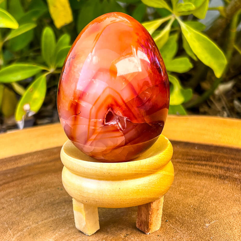 Looking for a genuine and stunning Carnelian Crystal Egg? Shop at Magic Crystals for polished cut base carnelian. Carnelian Crystal Egg - B. We only carry 'AAA' Quality Carnelian from India and Madagascar. Red Agate Crystal for reiki Healing. Free Standing Crystal. Carnelian-Egg-G