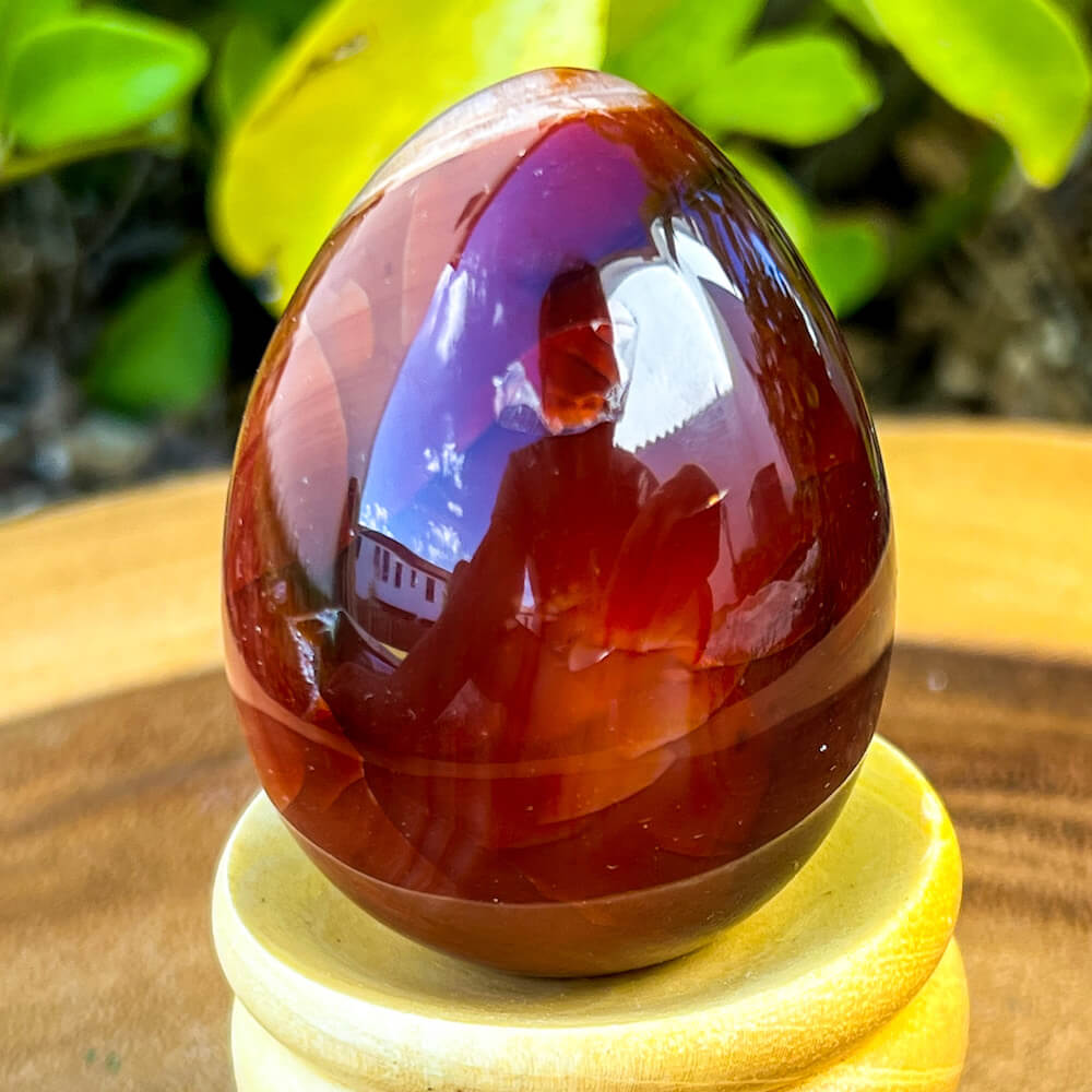 Looking for a genuine and stunning Carnelian Crystal Egg? Shop at Magic Crystals for polished cut base carnelian. Carnelian Crystal Egg - B. We only carry 'AAA' Quality Carnelian from India and Madagascar. Red Agate Crystal for reiki Healing. Free Standing Crystal. Carnelian-Egg-H