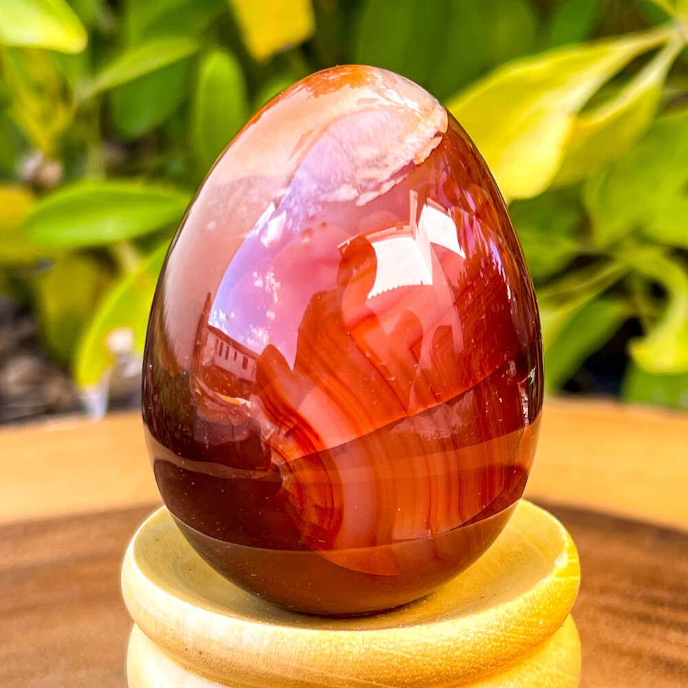 Looking for a genuine and stunning Carnelian Crystal Egg? Shop at Magic Crystals for polished cut base carnelian. Carnelian Crystal Egg - B. We only carry 'AAA' Quality Carnelian from India and Madagascar. Red Agate Crystal for reiki Healing. Free Standing Crystal. Carnelian-Egg-H