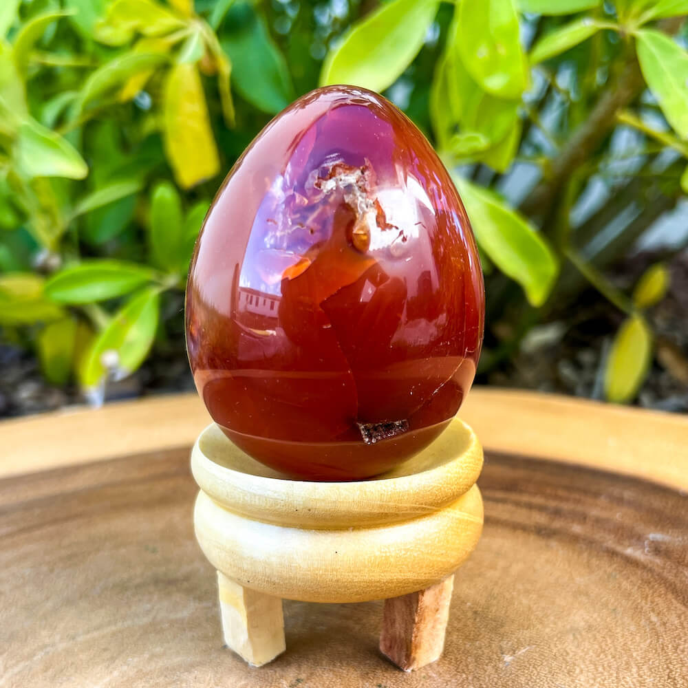Looking for a genuine and stunning Carnelian Crystal Egg? Shop at Magic Crystals for polished cut base carnelian. Carnelian Crystal Egg - B. We only carry 'AAA' Quality Carnelian from India and Madagascar. Red Agate Crystal for reiki Healing. Free Standing Crystal. Carnelian-Egg-I