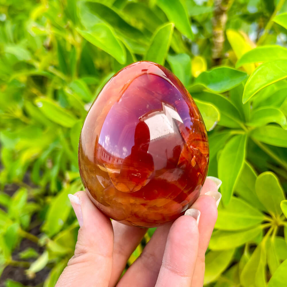 Looking for a genuine and stunning Carnelian Crystal Egg? Shop at Magic Crystals for polished cut base carnelian. Carnelian Crystal Egg - B. We only carry 'AAA' Quality Carnelian from India and Madagascar. Red Agate Crystal for reiki Healing. Free Standing Crystal. Carnelian-Egg-J