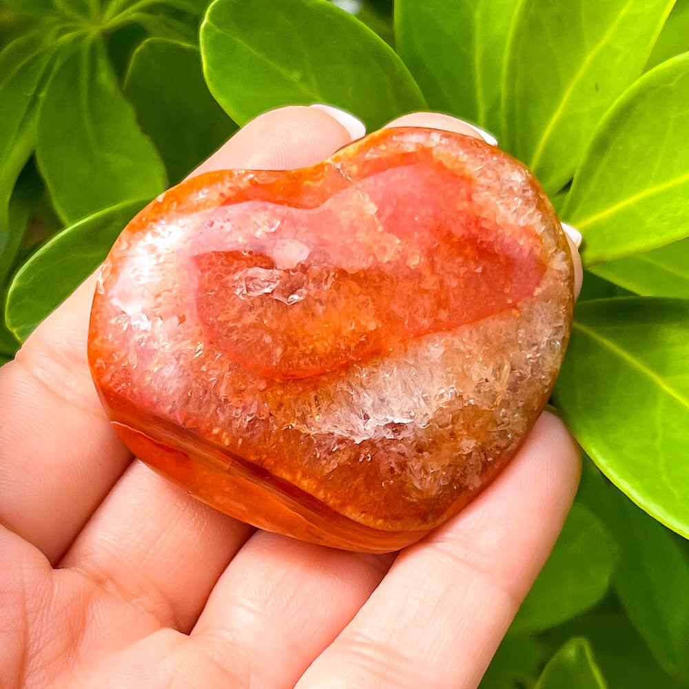 Looking for a genuine and stunning Carnelian Crystal Heart? Shop at Magic Crystals for Carnelian Heart - Orange Heart - Crystal Stone Heart. Extra-High Quality Carnelian Hearts. We only carry 'AAA' 
