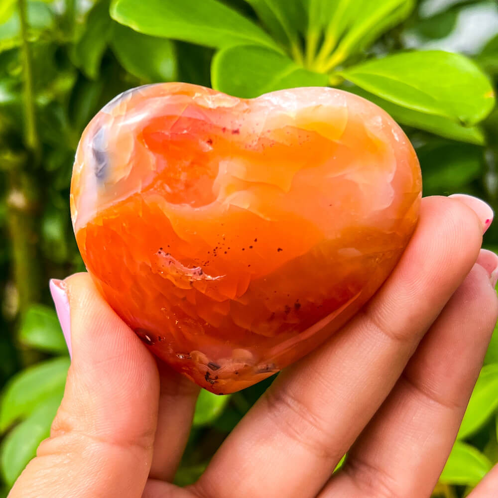 Looking for a genuine and stunning Carnelian Crystal Heart? Shop at Magic Crystals for Carnelian Heart - Orange Heart - Crystal Stone Heart. Extra-High Quality Carnelian Hearts. We only carry 'AAA' Quality Carnelian from Madagascar. Red Agate Crystal for Reiki Healing. Red Carnelian, Orange Carnelian, Authentic Crystal. Carnelian-Heart-H