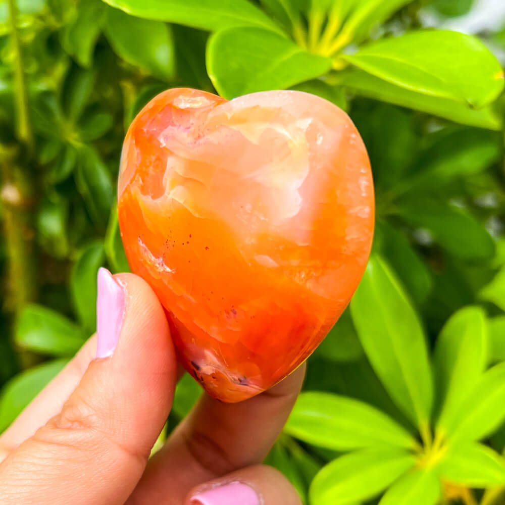 Looking for a genuine and stunning Carnelian Crystal Heart? Shop at Magic Crystals for Carnelian Heart - Orange Heart - Crystal Stone Heart. Extra-High Quality Carnelian Hearts. We only carry 'AAA' Quality Carnelian from Madagascar. Red Agate Crystal for Reiki Healing. Red Carnelian, Orange Carnelian, Authentic Crystal. Carnelian-Heart-H