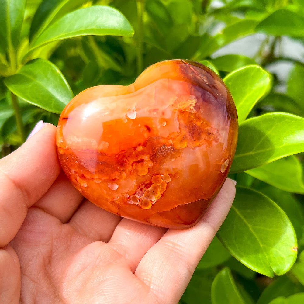 Looking for a genuine and stunning Carnelian Crystal Heart? Shop at Magic Crystals for Carnelian Heart - Orange Heart - Crystal Stone Heart. Extra-High Quality Carnelian Hearts. We only carry 'AAA' Quality Carnelian from Madagascar. Red Agate Crystal for Reiki Healing. Red Carnelian, Orange Carnelian, Authentic Crystal. Carnelian-Heart-K