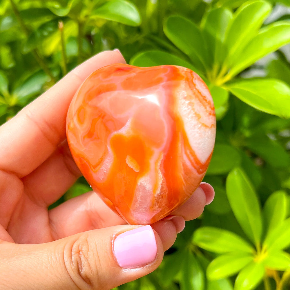 Looking for a genuine and stunning Carnelian Crystal Heart? Shop at Magic Crystals for Carnelian Heart - Orange Heart - Crystal Stone Heart. Extra-High Quality Carnelian Hearts. We only carry 'AAA' Quality Carnelian from Madagascar. Red Agate Crystal for Reiki Healing. Red Carnelian, Orange Carnelian, Authentic Crystal. Carnelian-Heart-L