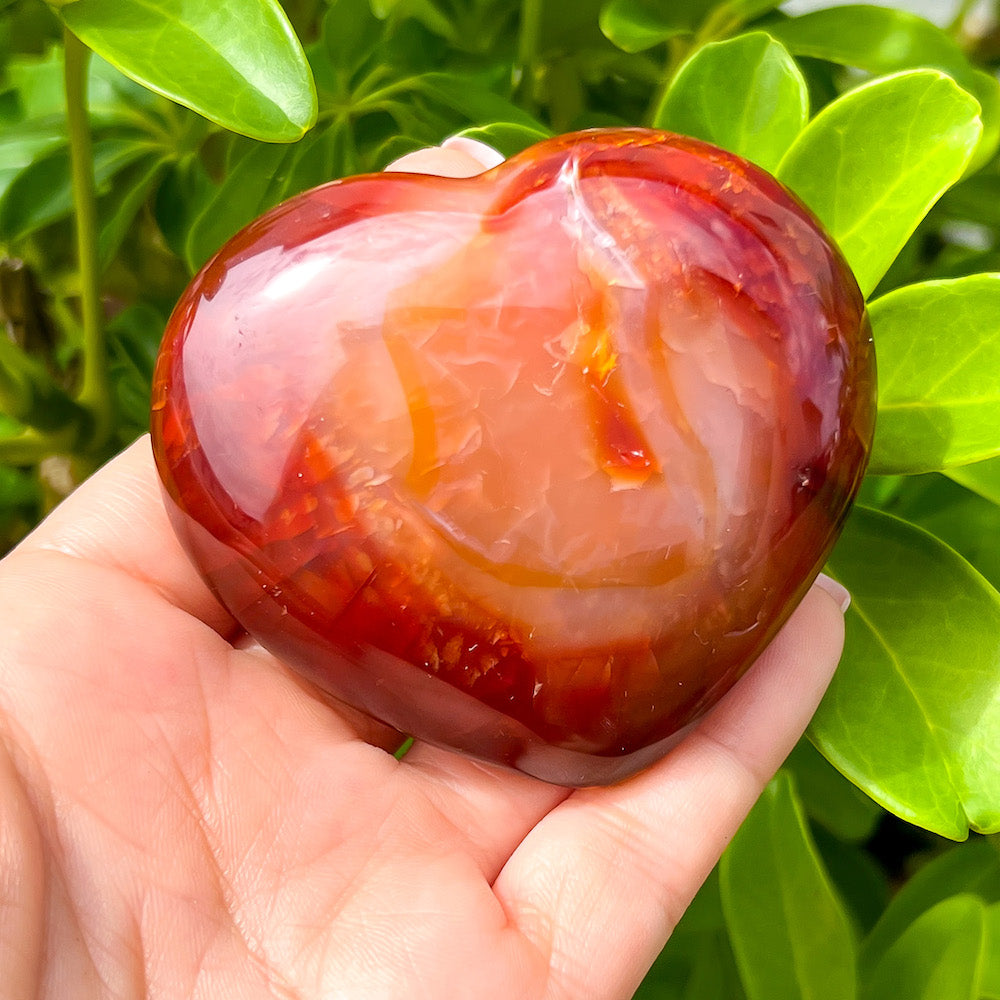 Looking for a genuine and stunning Carnelian Crystal Heart? Shop at Magic Crystals for Carnelian Heart - Orange Heart - Crystal Stone Heart. Extra-High Quality Carnelian Hearts. We only carry 'AAA' Quality Carnelian from Madagascar. Red Agate Crystal for Reiki Healing. Red Carnelian, Orange Carnelian, Authentic Crystal. Carnelian-Heart-N
