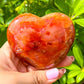 Looking for a genuine and stunning Carnelian Crystal Heart? Shop at Magic Crystals for Carnelian Heart - Orange Heart - Crystal Stone Heart. Extra-High Quality Carnelian Hearts. We only carry 'AAA' Quality Carnelian from Madagascar. Red Agate Crystal for Reiki Healing. Red Carnelian, Orange Carnelian, Authentic Crystal. Carnelian-Heart-S