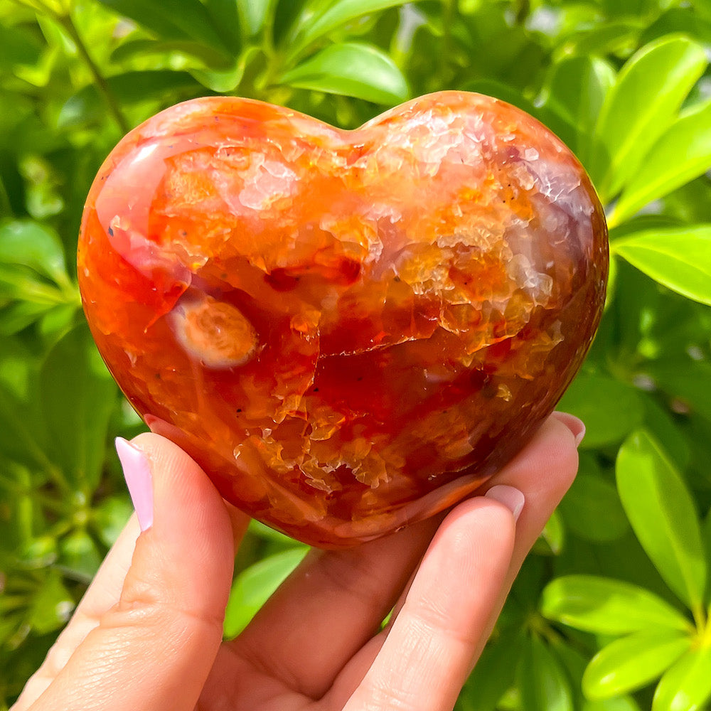 Looking for a genuine and stunning Carnelian Crystal Heart? Shop at Magic Crystals for Carnelian Heart - Orange Heart - Crystal Stone Heart. Extra-High Quality Carnelian Hearts. We only carry 'AAA' Quality Carnelian from Madagascar. Red Agate Crystal for Reiki Healing. Red Carnelian, Orange Carnelian, Authentic Crystal. Carnelian-Heart-S