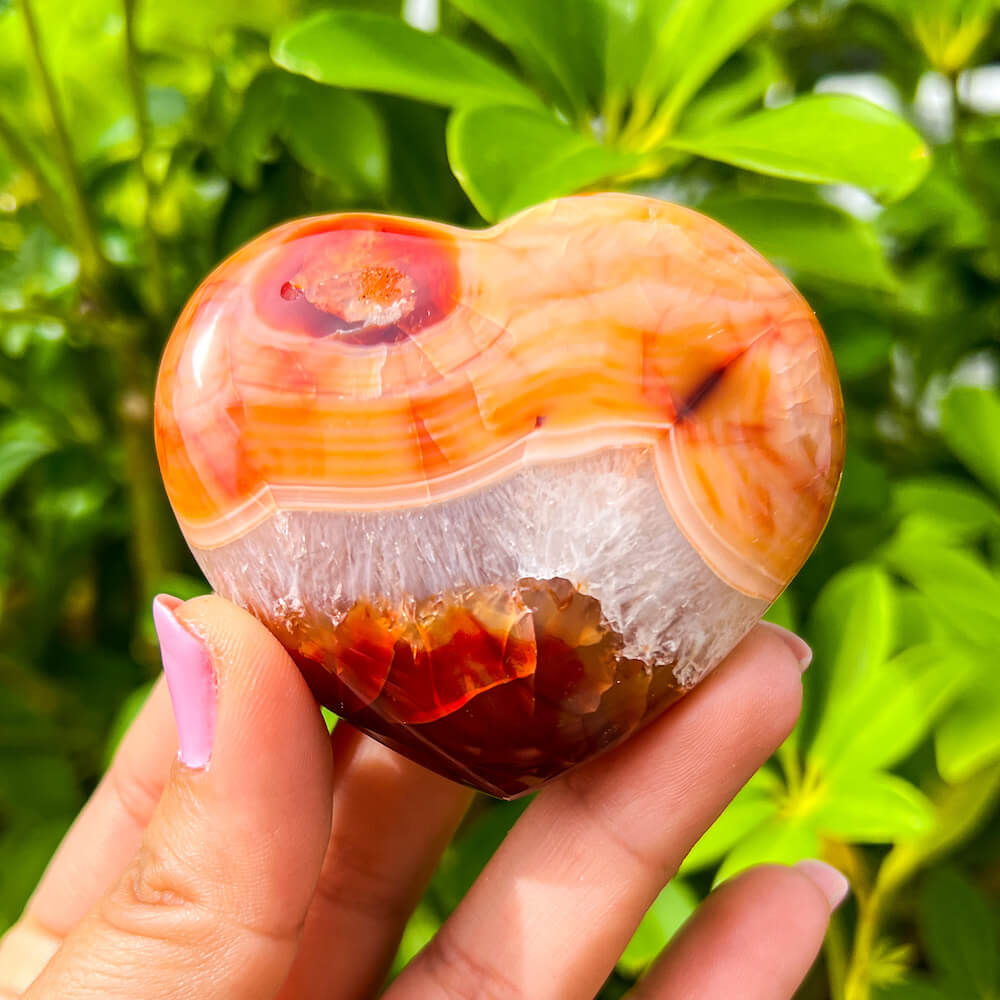 Looking for a genuine and stunning Carnelian Crystal Heart? Shop at Magic Crystals for Carnelian Heart - Orange Heart - Crystal Stone Heart. Extra-High Quality Carnelian Hearts. We only carry 'AAA' Quality Carnelian from Madagascar. Red Agate Crystal for Reiki Healing. Red Carnelian, Orange Carnelian, Authentic Crystal. Carnelian-Heart-I