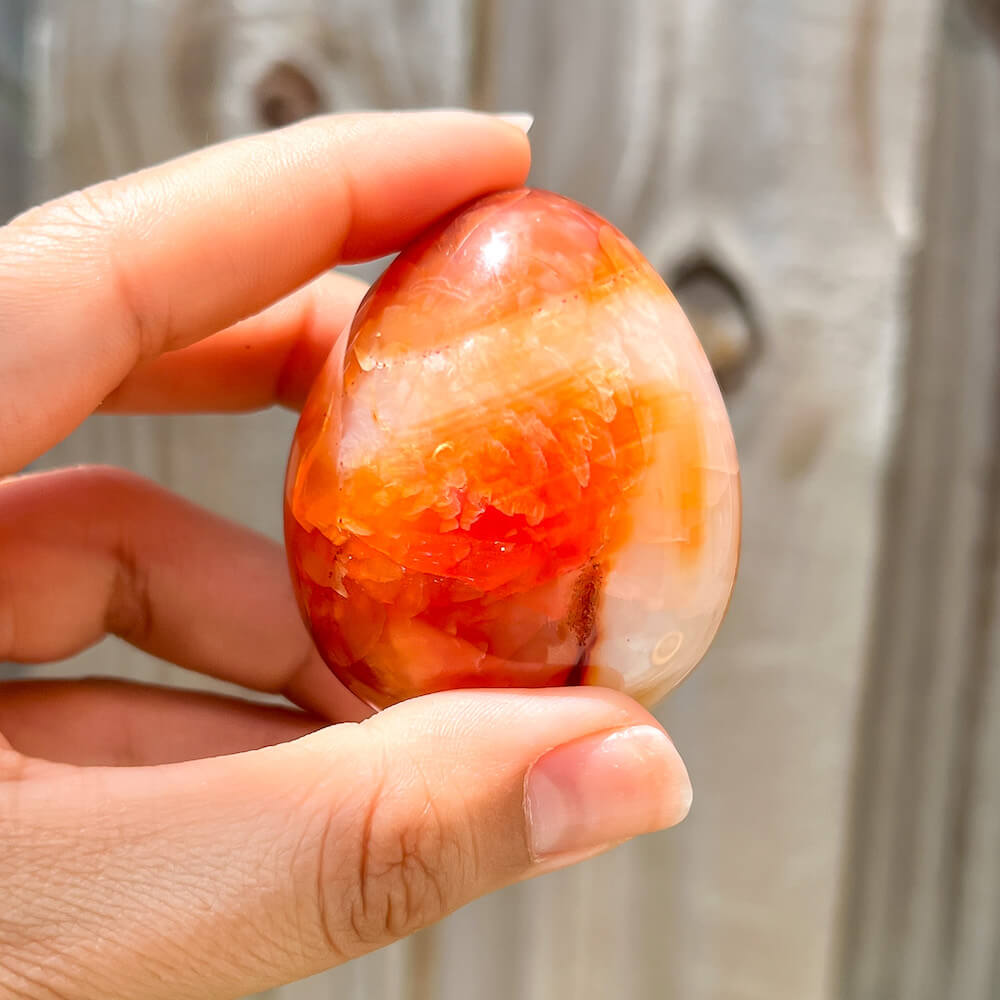 Looking for a genuine and stunning Carnelian Crystal Egg? Shop at Magic Crystals for polished cut base carnelian. Carnelian Crystal Egg - A. We only carry 'AAA' Quality Carnelian from India and Madagascar. Red Agate Crystal for reiki Healing. Free Standing Crystal.