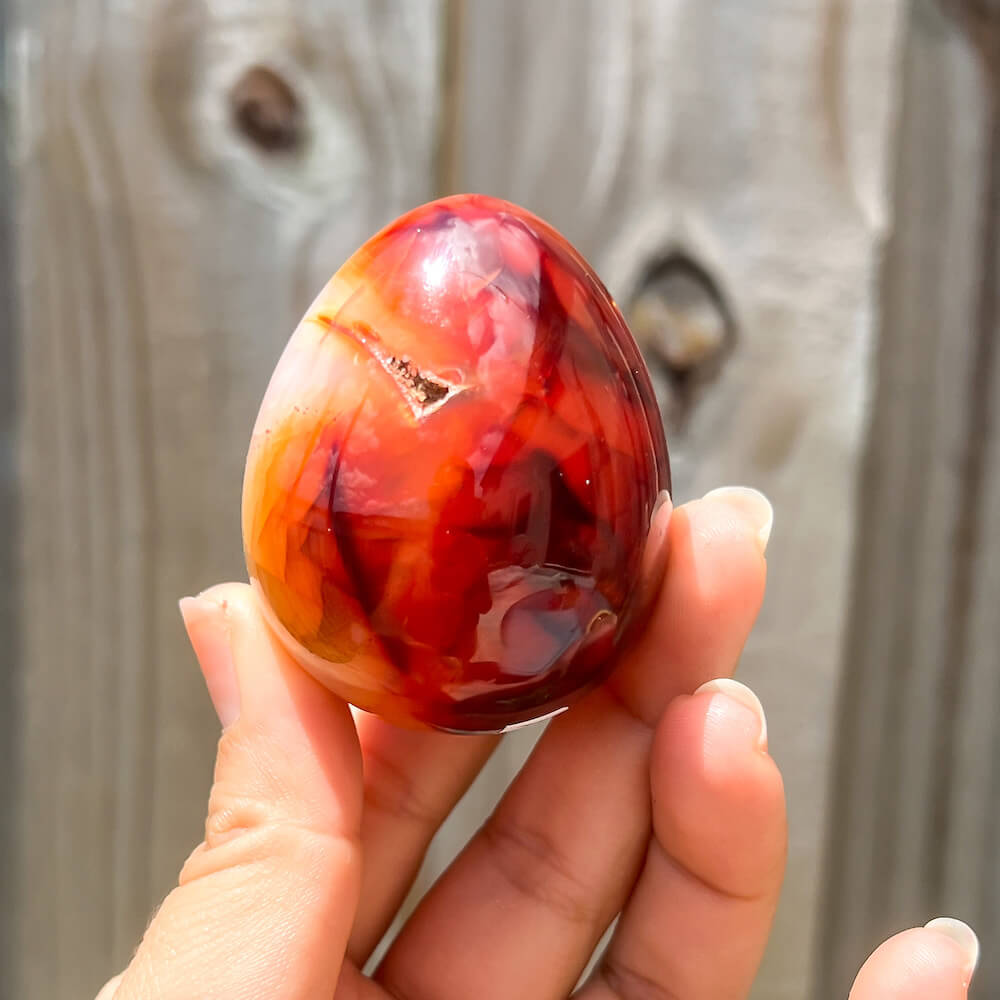 Looking for a genuine and stunning Carnelian Crystal Egg? Shop at Magic Crystals for polished cut base carnelian. Carnelian Crystal Egg - A. We only carry 'AAA' Quality Carnelian from India and Madagascar. Red Agate Crystal for reiki Healing. Free Standing Crystal.