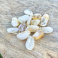 Looking for Small Citrine Tumbled Stone - Yellow Polished Stone? Shop at Magic Crystals for Shop for Citrine Tumbled Stone, Crystal Healing, Feng Shui, Chakra Stone, Yellow stone, rock Hound, Pocket Stone, Reiki Crystal at Magic crystals. FREE SHIPPING available.