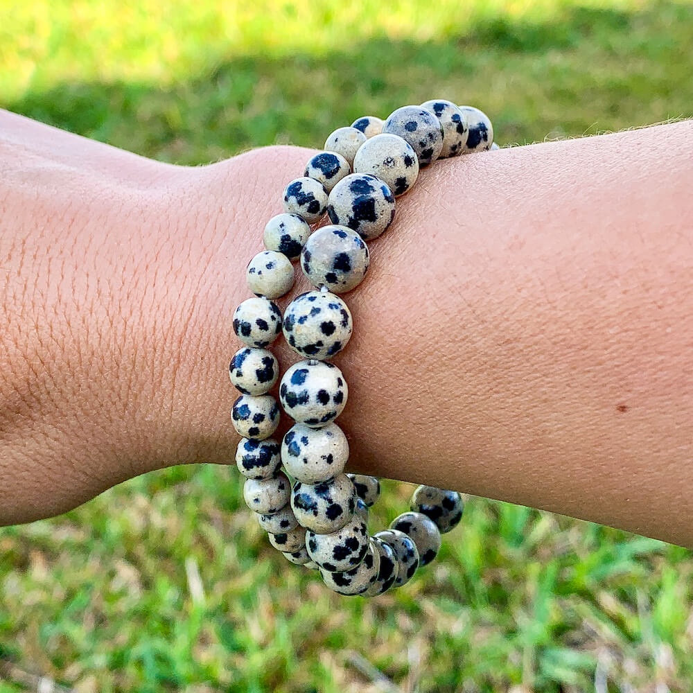 Looking for Dalmatian Jasper Bead Stretchy String Bracelet? Shop at Magic Crystals for Dalmatian Jasper Jewelry. Dalmatian Jasper is a stone that aids you to break down barriers that you have created as protection around yourself. Natural Gemstone bracelets with Free Shipping available.