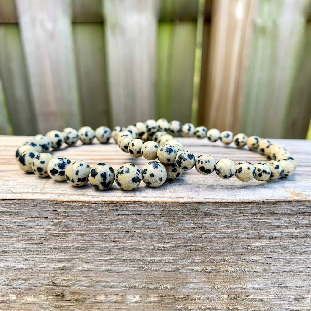 Looking for Dalmatian Jasper Bead Stretchy String Bracelet? Shop at Magic Crystals for Dalmatian Jasper Jewelry. Dalmatian Jasper is a stone that aids you to break down barriers that you have created as protection around yourself. Natural Gemstone bracelets with Free Shipping available.