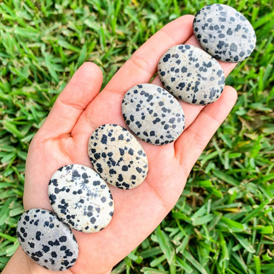 Dalmatian-Jasper-Palm-Stone. Natural Gemstone Palm Stone.Looking for Natural Gemstone Palm Stone - Worry Meditation Stones? Shop at magiccrystals.com . Magic Crystals carries Palmstones - Meditation Stones with FREE SHIPPING AVAILABLE. Empathetic, supporting and glowing with soft, pretty color, this Jade palm stone is a wonderful crystal gift for someone you love. 