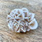 Shop Raw Desert Rose Selenite - Selenite Rose Cluster - Natural Selenite Crystal - Healing Crystals & Stones - Rough Gypsum Desert Rose Cluster at Magic Crystals. www.magiccrystals.com Sand Rose, Selenite Rose or Gypsum Rose, or gypsum rosettes. It is a form of gypsum when sand particles become embedded in it.